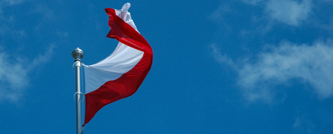 Polish Flag
